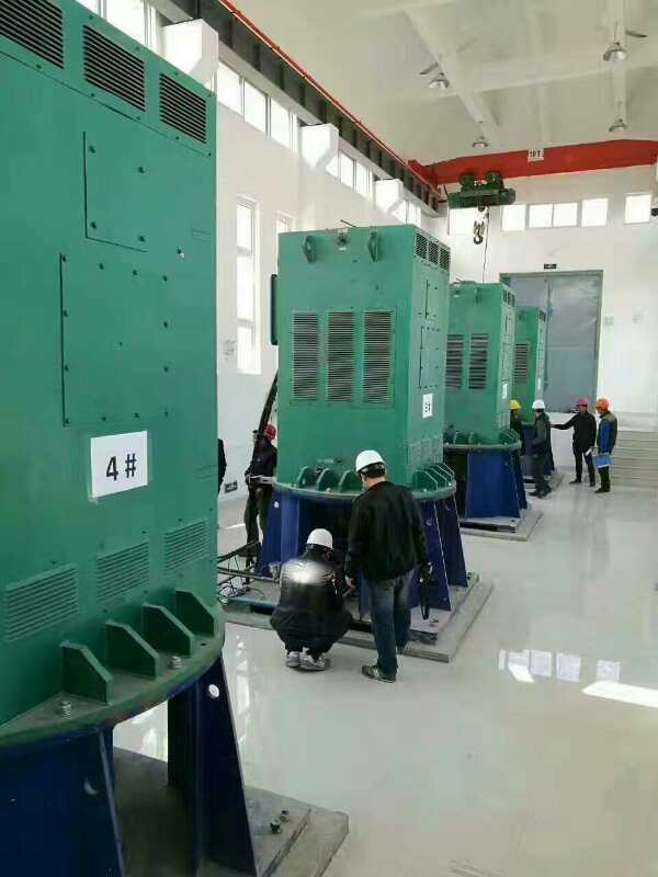 廉江某污水处理厂使用我厂的立式高压电机安装现场